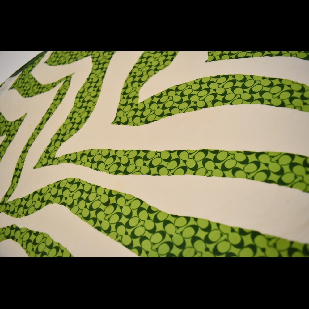 Green Zebra Coach scarf